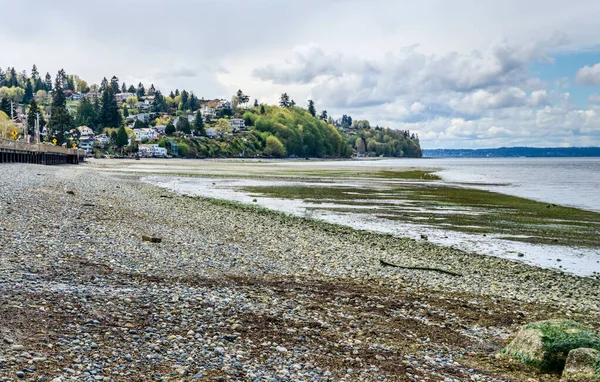 Landscape Shot Shoreline Redondo Beach Washington — Fotografia de Stock