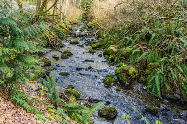 Washington Daki Des Moines Creek Kayaların Üzerinden Akıyor — Stok fotoğraf