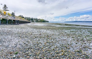 Redondo Beach, Washington 'daki kıyı şeridinin manzarası..