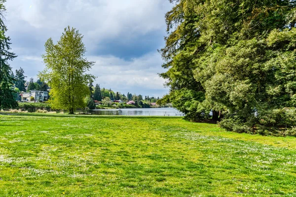 Seattle, Washington 'daki Seward Park' ta bir çim ve göl manzarası.