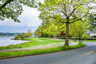 Washington, Seattle 'daki Washington Gölü Bulvarı' nda. Bahar geldi..