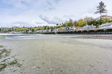 Redondo Beach, Washington 'daki kıyı şeridinin manzarası..