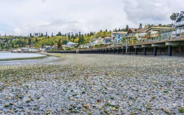 Redondo Beach, Washington 'daki kıyı şeridinin manzarası..