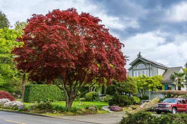Seattle 'daki Washington Gölü Bulvarı boyunca evler.