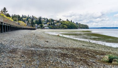 Redondo Beach, Washington 'daki kıyı şeridinin manzarası..