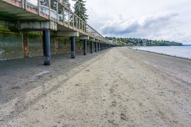 Washington, Redondo Sahili 'nin tahta kaldırımının altında sular çekildiğinde..