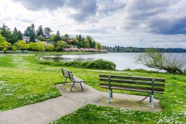Washington, Seattle 'daki Washington Gölü Bulvarı' nda. Bahar geldi..