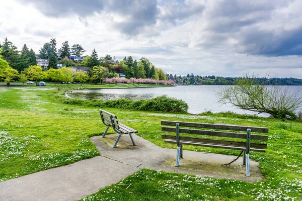 Washington, Seattle 'daki Washington Gölü Bulvarı' nda. Bahar geldi..