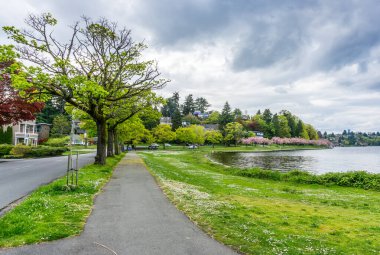 Washington, Seattle 'daki Washington Gölü Bulvarı' nda. Bahar geldi..
