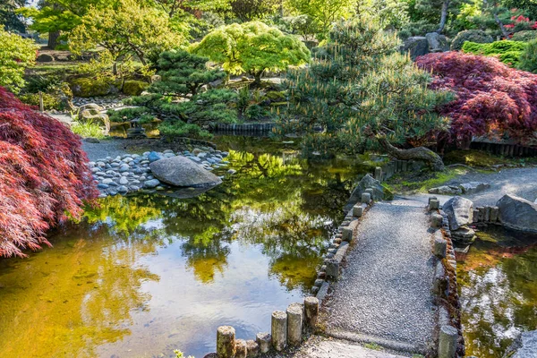 Jardim Japonês Cênico Seatac Washington — Fotografia de Stock