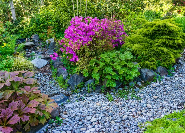 ワシントン州シータックにある乾燥したストリームベッドと花の茂み — ストック写真