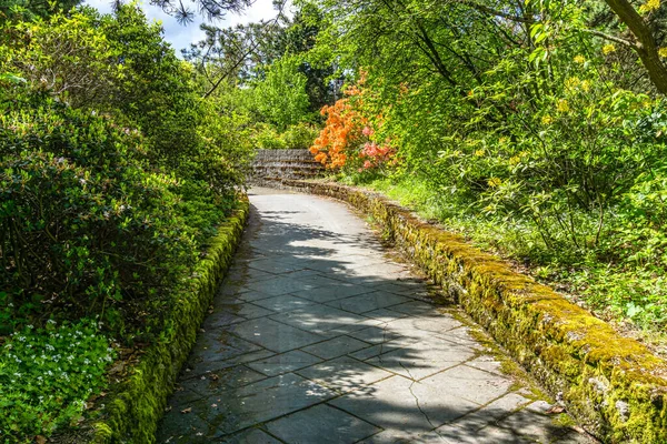 Walkwy Arboretum South Seattle Waszyngton — Zdjęcie stockowe
