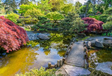 Seatac, Washington 'da manzaralı bir Japon bahçesi..