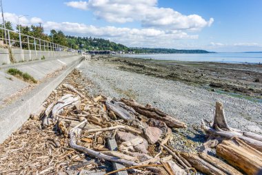 Eksi gelgit, Batı Seattle, Washington 'da engebeli bir deniz tabanını ortaya çıkardı..
