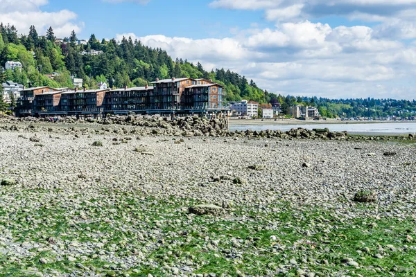 Batı Seattle Kıyıları Sular Çok Alçak — Stok fotoğraf