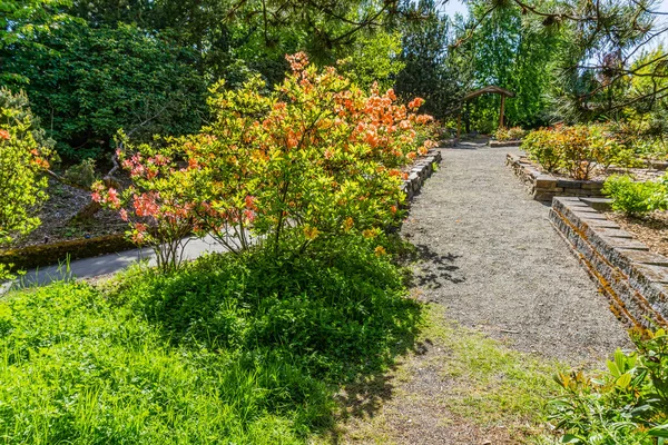 Walkway Arboretum South Seattle Washington — стокове фото