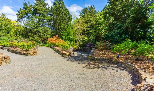 Una Pasarela Arboreto Sur Seattle Washington — Foto de Stock