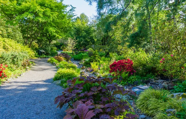 Scenic Garden Landscape Seatac Washington — Foto de Stock