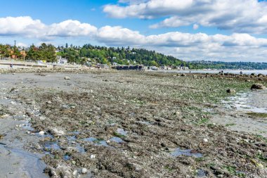 Eksi gelgit, Batı Seattle, Washington 'da engebeli bir deniz tabanını ortaya çıkardı..