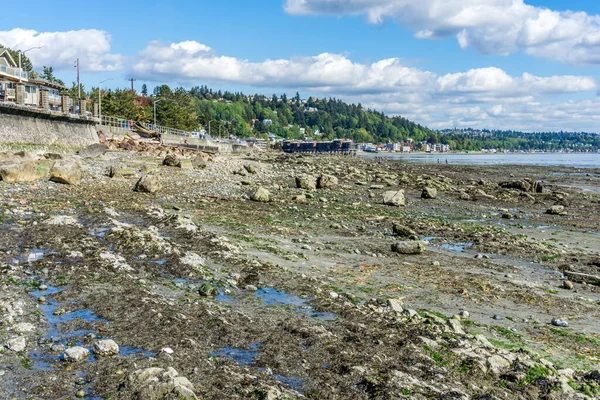 Homes Face Puget Sound Low Tide West Seattle Washington — Foto Stock
