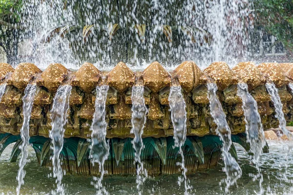 Primer Plano Una Fuente Charleston Carolina Del Sur — Foto de Stock