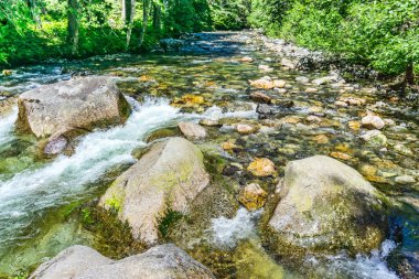 Washington 'daki Denny Creek' te su akıntıları.