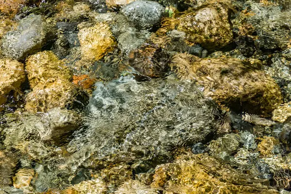 Background Photo Clear Water Rocks Denny Creek Washington State — 图库照片