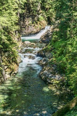 Washington 'da Denny Creek' te küçük bir şelale..