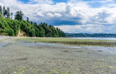 Des Moines, Washington 'daki tuzlu su parkının manzara fotoğrafı..