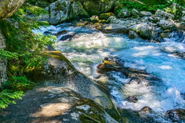 Rapids, Washington 'daki Denny Creek' te beyaz su yarattı.