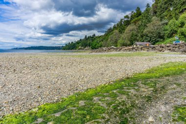 Des Moines, Washington 'daki tuzlu su parkının manzara fotoğrafı..