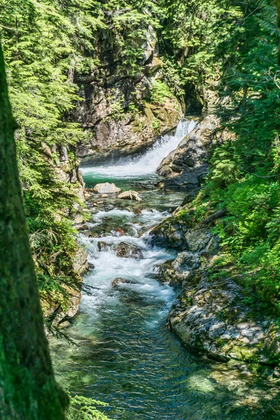 Une Petite Cascade Ruisseau Denny Dans État Washington — Photo