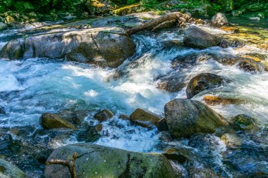 Rapids, Washington 'daki Denny Creek' te beyaz su yarattı.