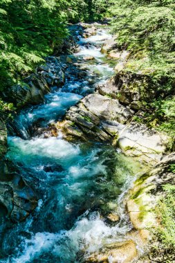 Washington 'daki Denny Creek' te su akıntıları.
