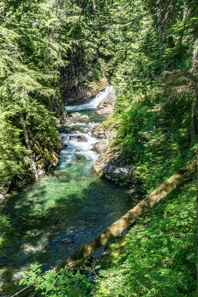 Small Waterfall Denny Creek Washington State — ストック写真