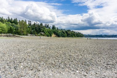 Kıyı tuzlu su State Park Des Moines, Washington'da bir görünümünü.