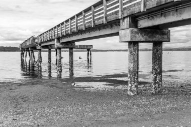 Washington, Dash Point 'teki rıhtımda dalgalar çekilmiş..