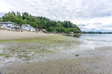 Das Point, Washington 'daki liman manzaralı evler.