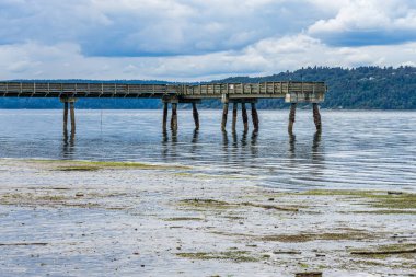 Washington, Dash Point 'teki rıhtımda dalgalar çekilmiş..