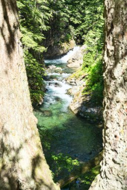 Washington 'da Denny Creek' te küçük bir şelale..
