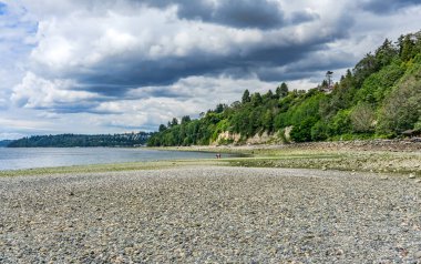 Kıyı tuzlu su State Park Des Moines, Washington'da bir görünümünü.