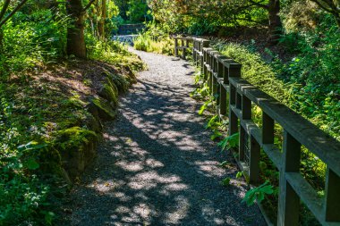 A view of a garden path and fence in South Seattle, Washington.