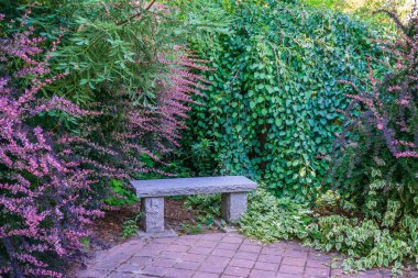 A bench at a garden quiet place in South Seattle, Washington.