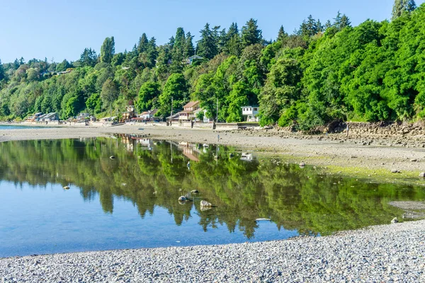Trees and homes are reflected in a tide poot in Des Moines, Washington.