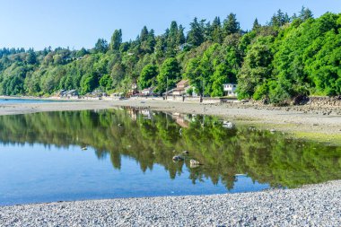 Trees and homes are reflected in a tide poot in Des Moines, Washington.
