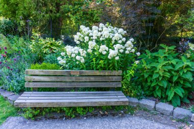 A wooden bench with white flowers at Point Defiance Park in Tacoma, Washington.
