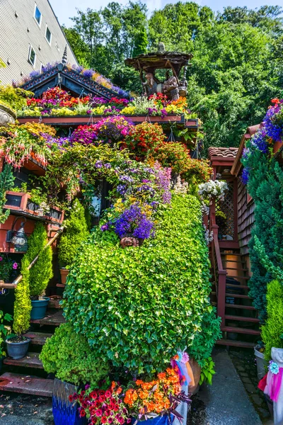 Different Colorful Flowers Hanging Baskets West Seattle Washington — Fotografia de Stock