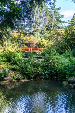 A red walking bridge in a garden in Renton, Washington.