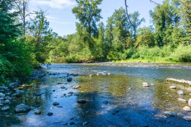 The Green River in Washington State is low in summer.