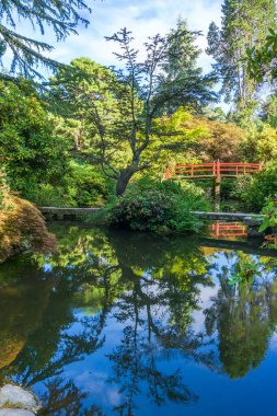A red walking bridge and pond in a garden in Seattle, Washington.